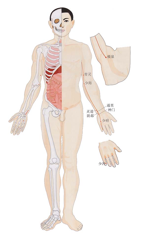 穴位健身