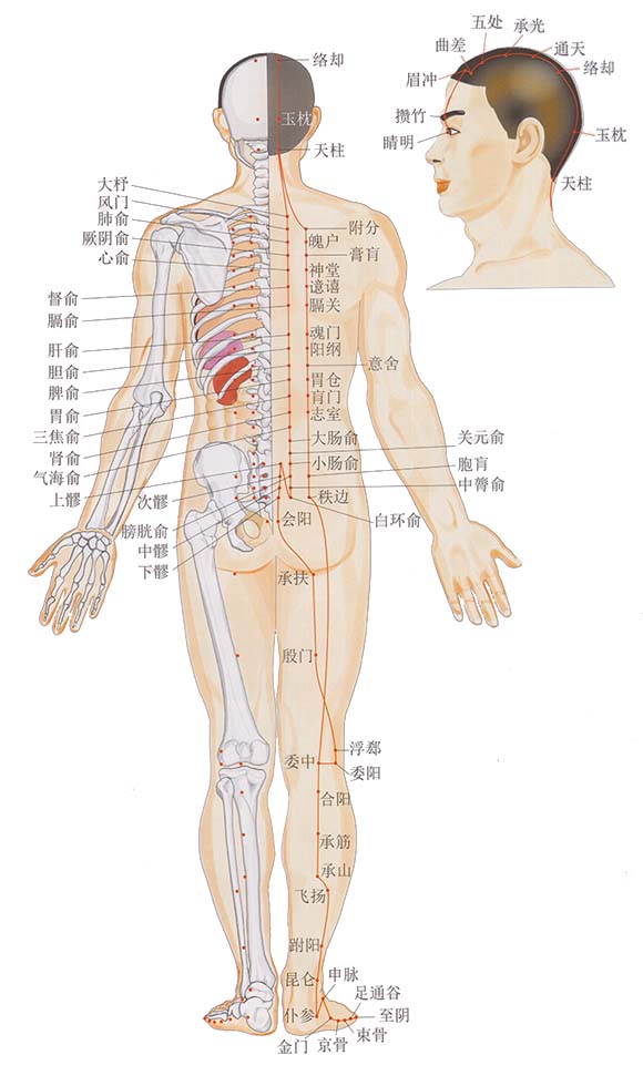 穴位健身