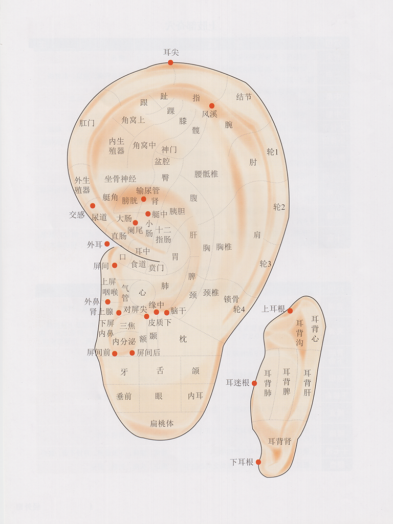 穴位健身